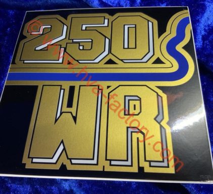 1982 - 250cc WR Side Panel Decal. (PAIR)